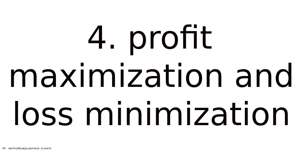 4. Profit Maximization And Loss Minimization
