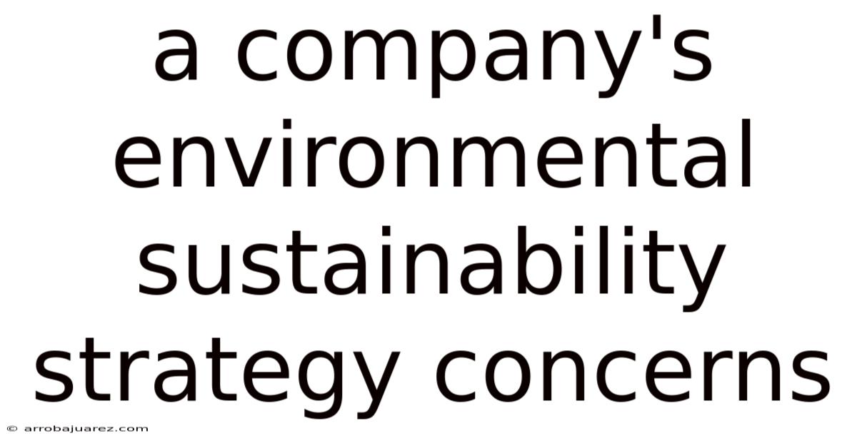 A Company's Environmental Sustainability Strategy Concerns