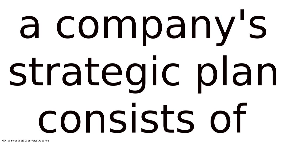A Company's Strategic Plan Consists Of