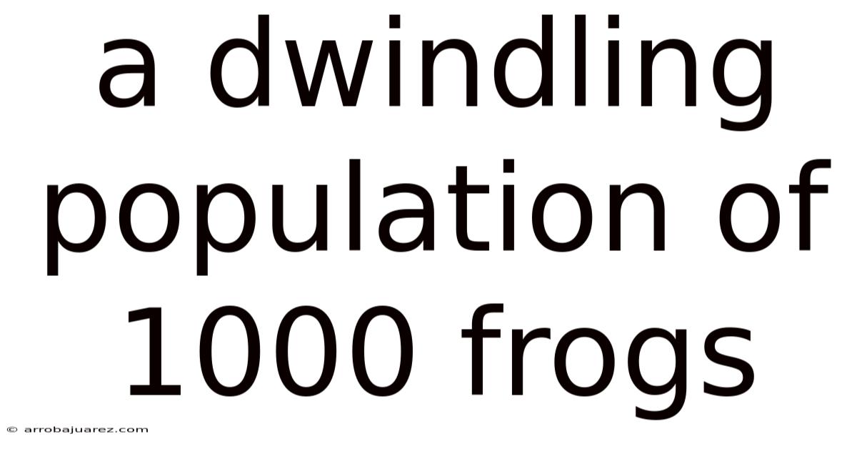 A Dwindling Population Of 1000 Frogs