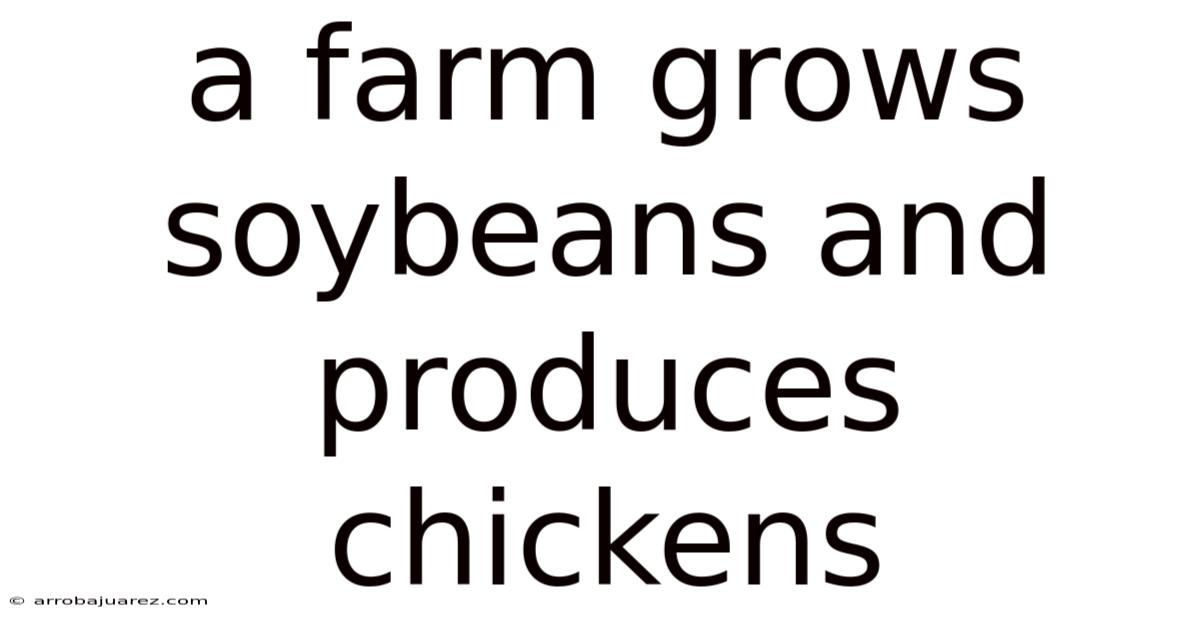 A Farm Grows Soybeans And Produces Chickens