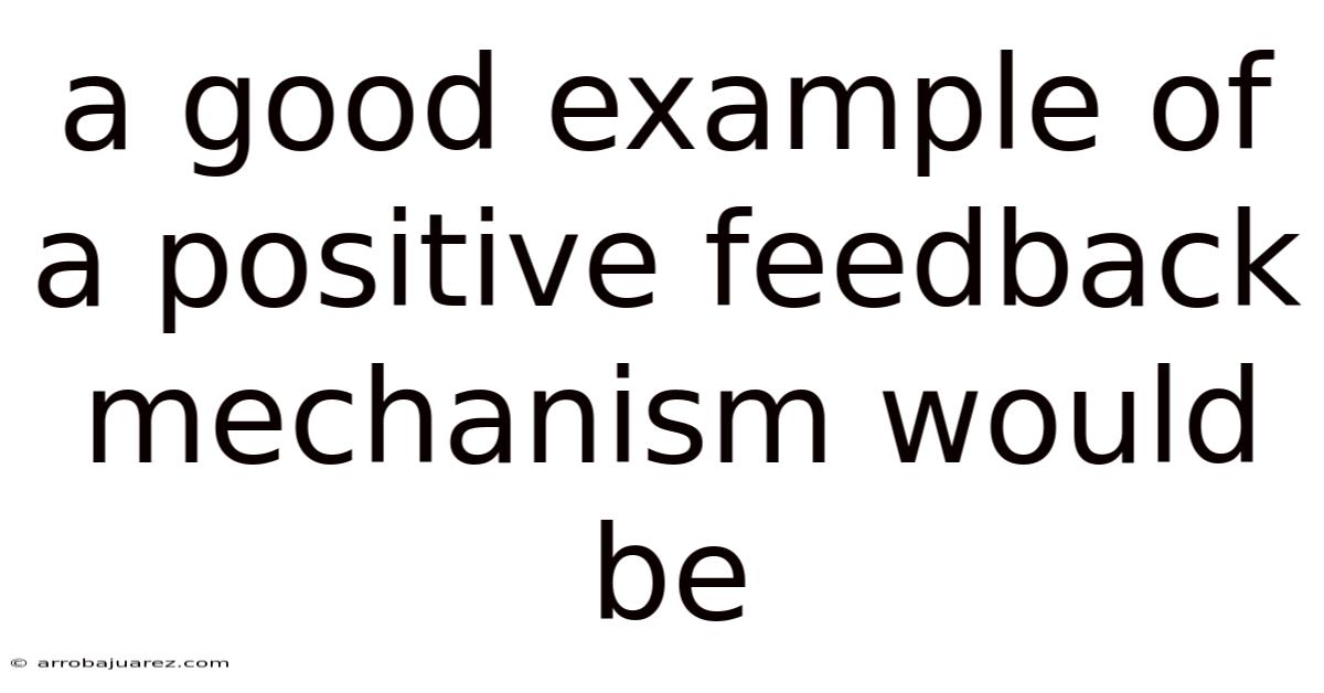 A Good Example Of A Positive Feedback Mechanism Would Be