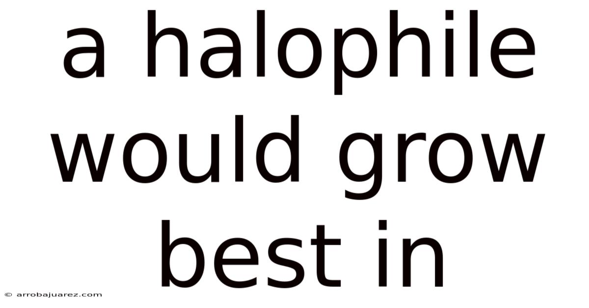 A Halophile Would Grow Best In