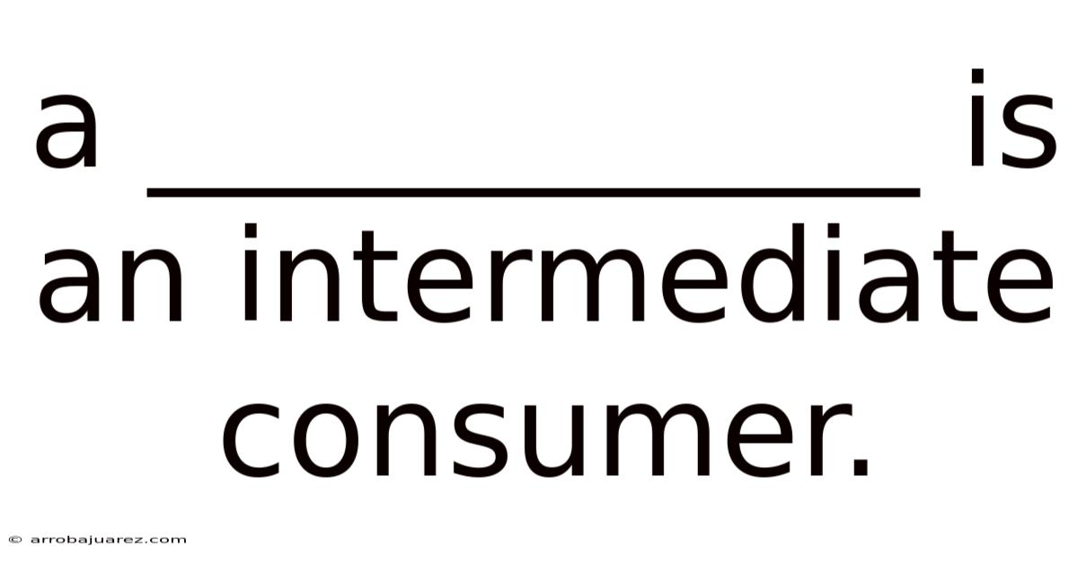 A ____________ Is An Intermediate Consumer.