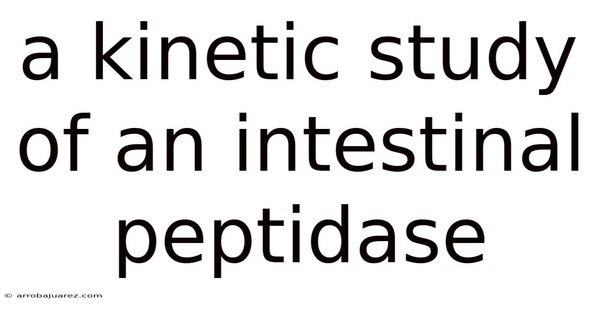 A Kinetic Study Of An Intestinal Peptidase