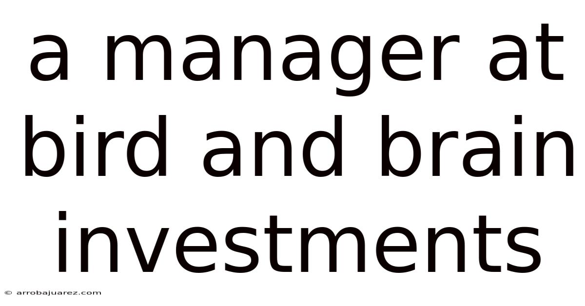 A Manager At Bird And Brain Investments