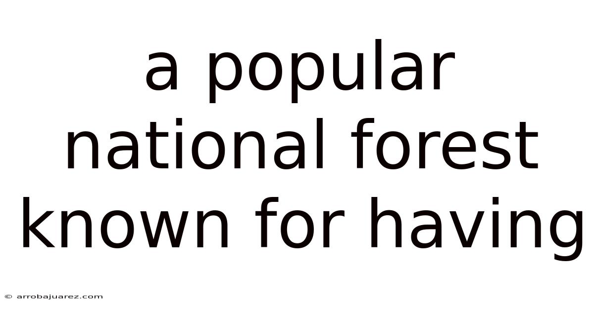 A Popular National Forest Known For Having