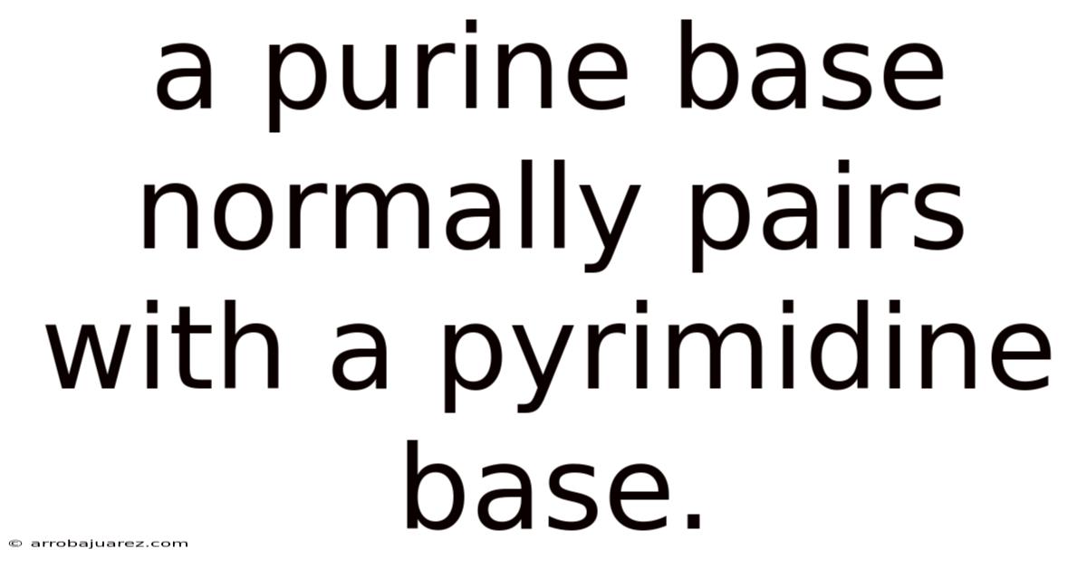 A Purine Base Normally Pairs With A Pyrimidine Base.