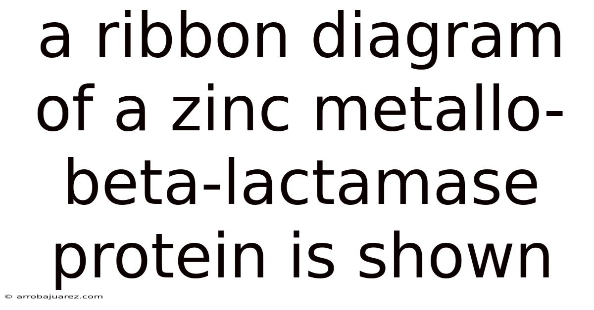 A Ribbon Diagram Of A Zinc Metallo-beta-lactamase Protein Is Shown