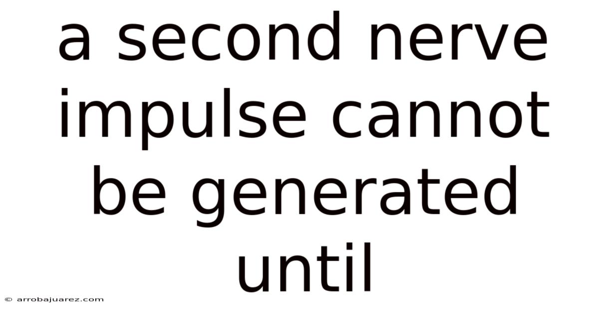 A Second Nerve Impulse Cannot Be Generated Until
