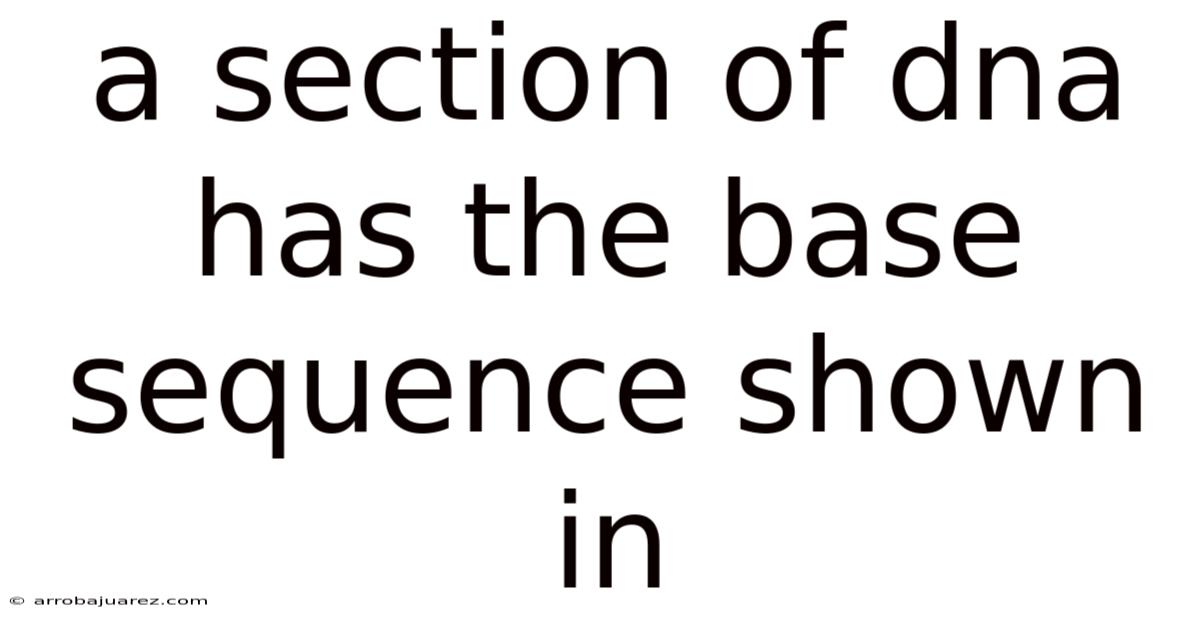 A Section Of Dna Has The Base Sequence Shown In