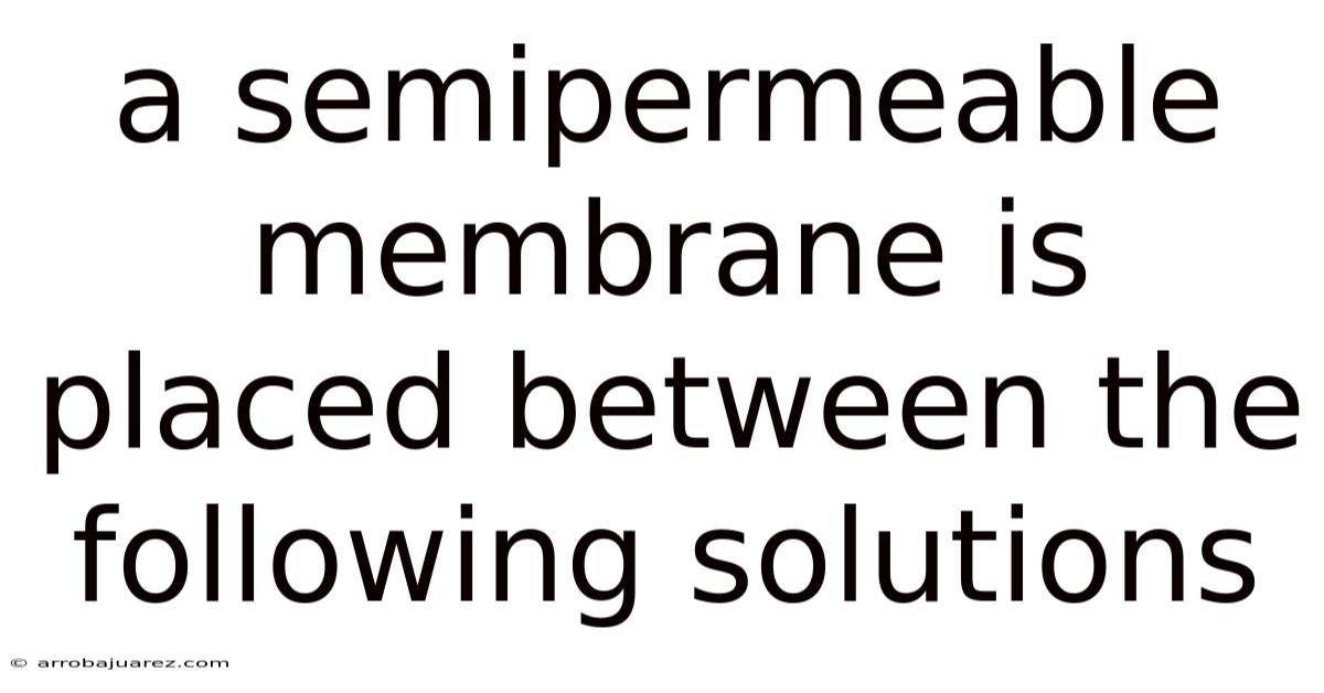 A Semipermeable Membrane Is Placed Between The Following Solutions