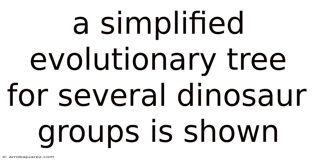 A Simplified Evolutionary Tree For Several Dinosaur Groups Is Shown