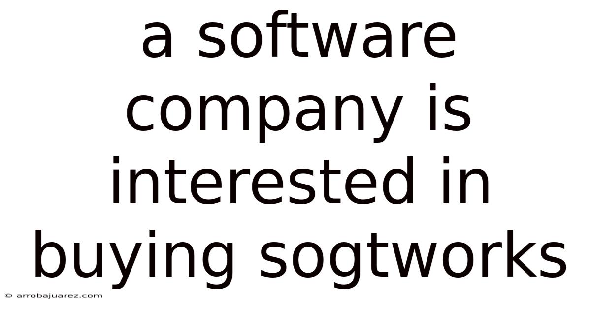 A Software Company Is Interested In Buying Sogtworks