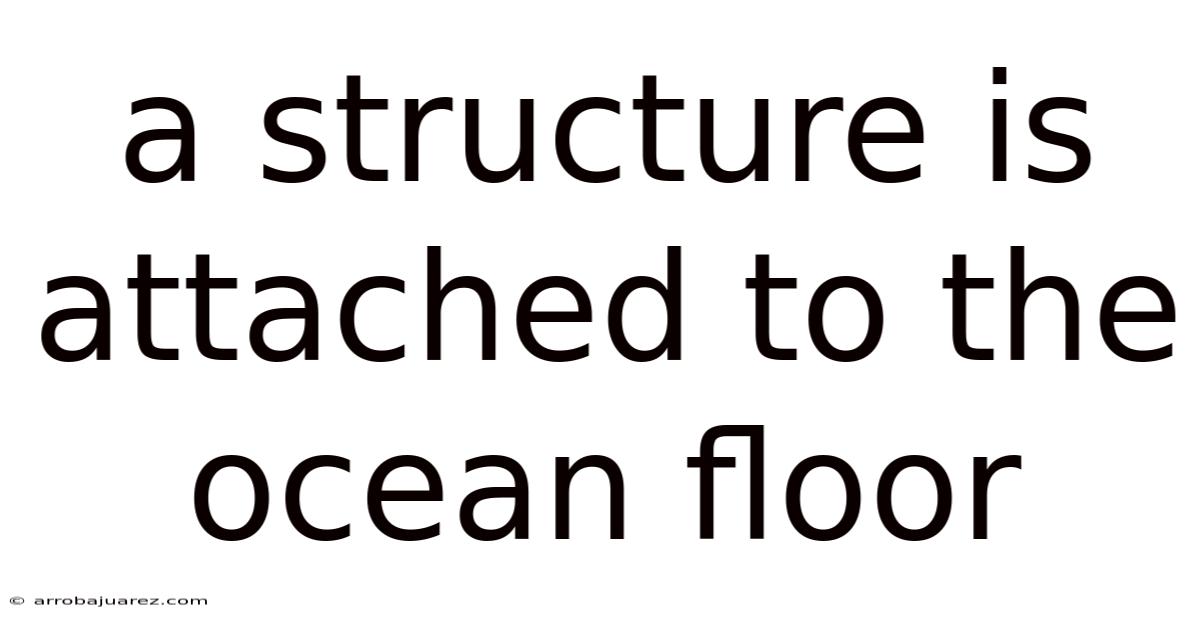 A Structure Is Attached To The Ocean Floor