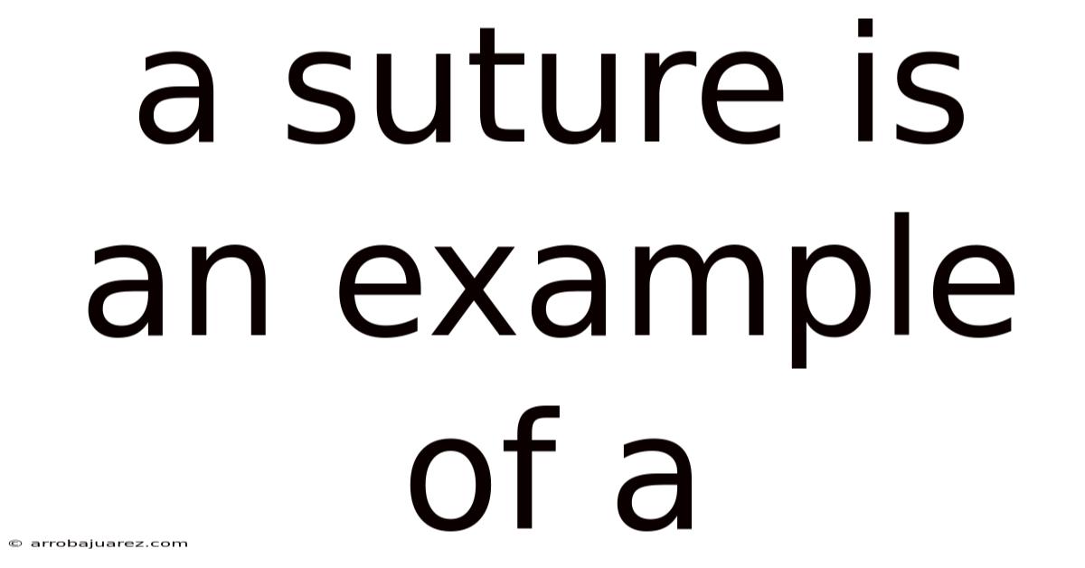 A Suture Is An Example Of A