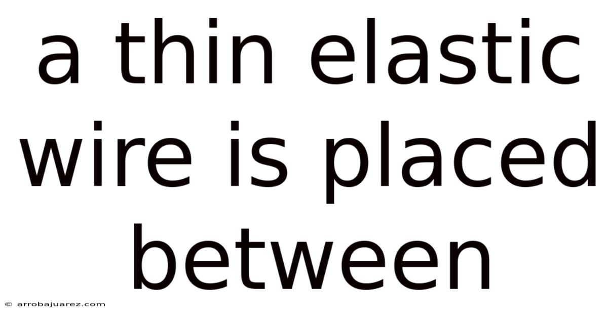 A Thin Elastic Wire Is Placed Between