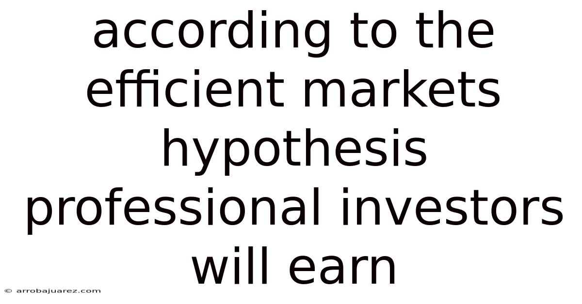 According To The Efficient Markets Hypothesis Professional Investors Will Earn