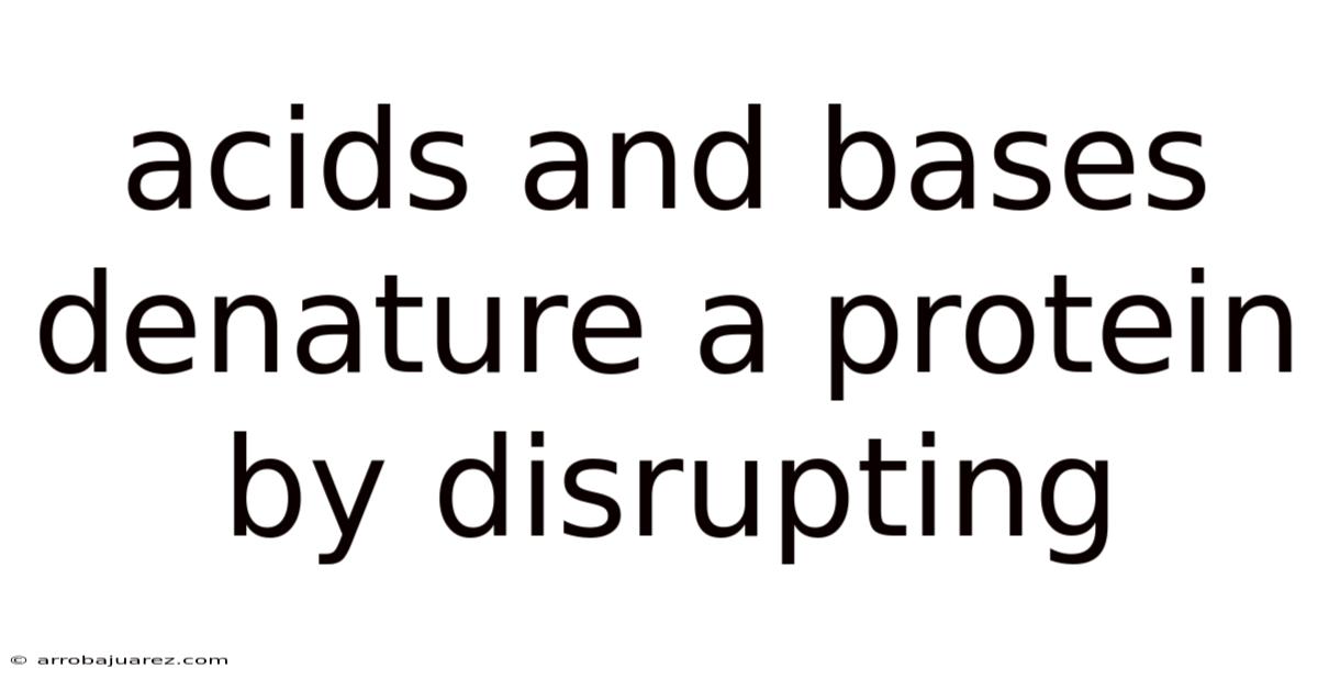 Acids And Bases Denature A Protein By Disrupting