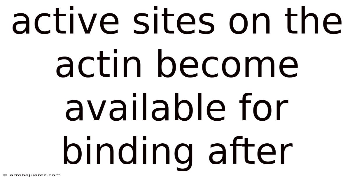 Active Sites On The Actin Become Available For Binding After