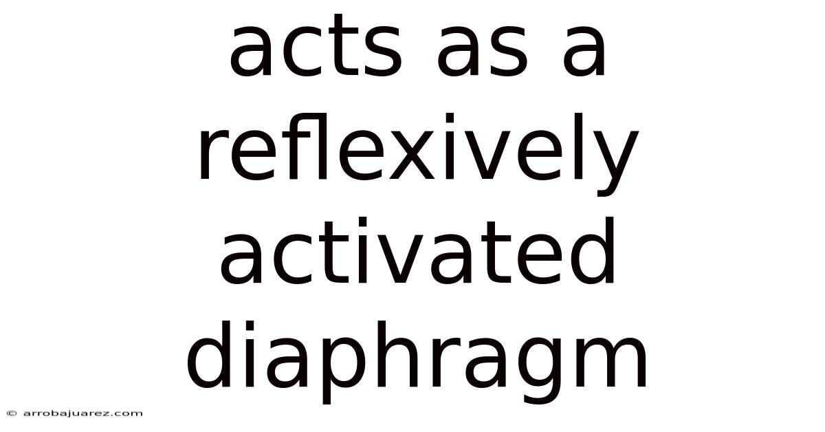 Acts As A Reflexively Activated Diaphragm