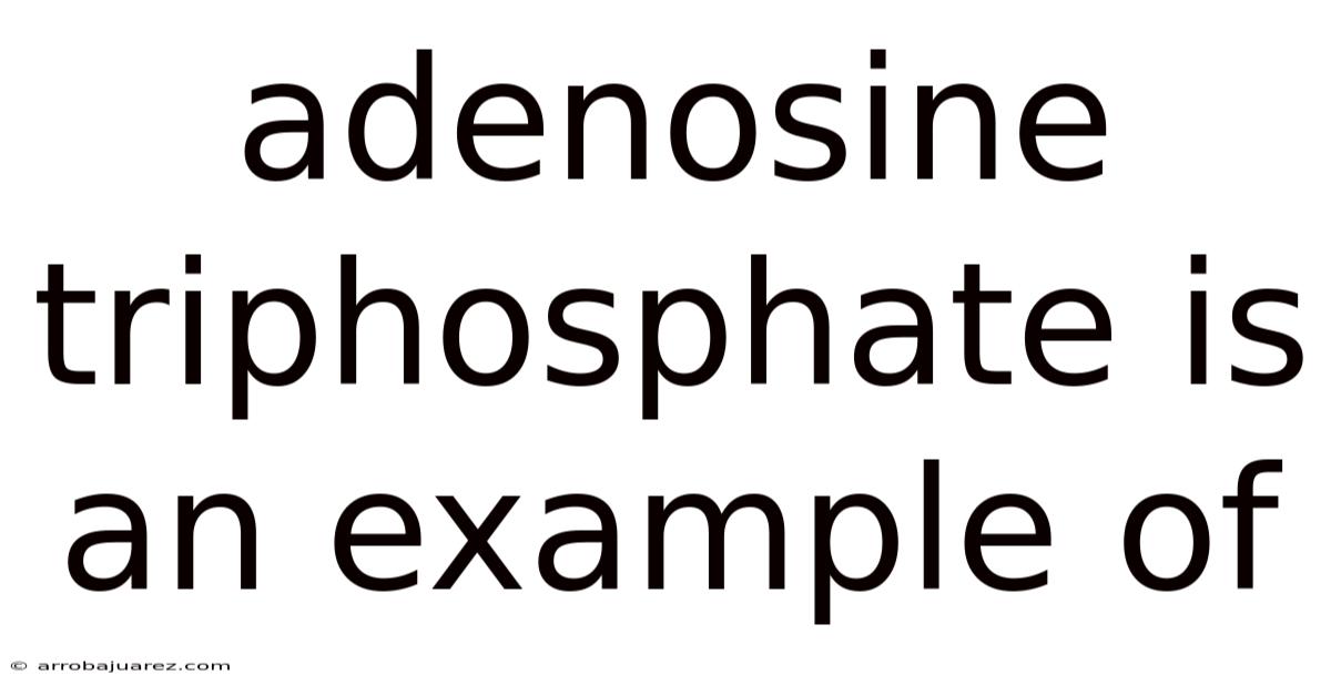 Adenosine Triphosphate Is An Example Of