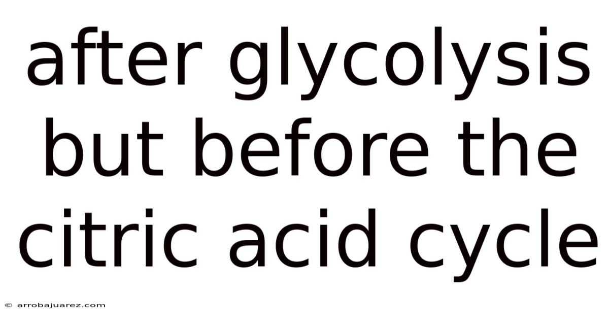 After Glycolysis But Before The Citric Acid Cycle