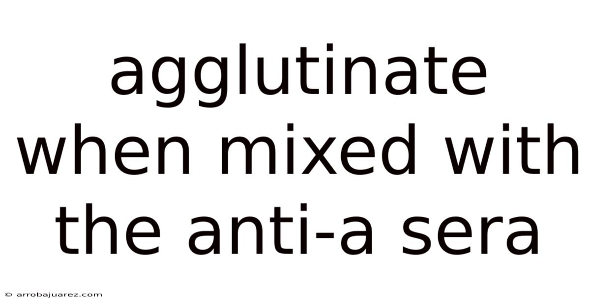 Agglutinate When Mixed With The Anti-a Sera