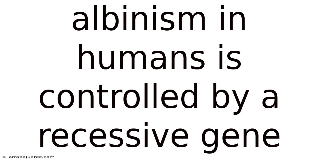 Albinism In Humans Is Controlled By A Recessive Gene
