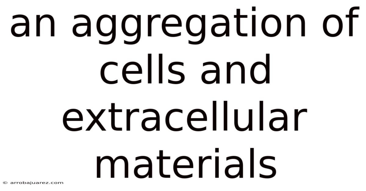 An Aggregation Of Cells And Extracellular Materials