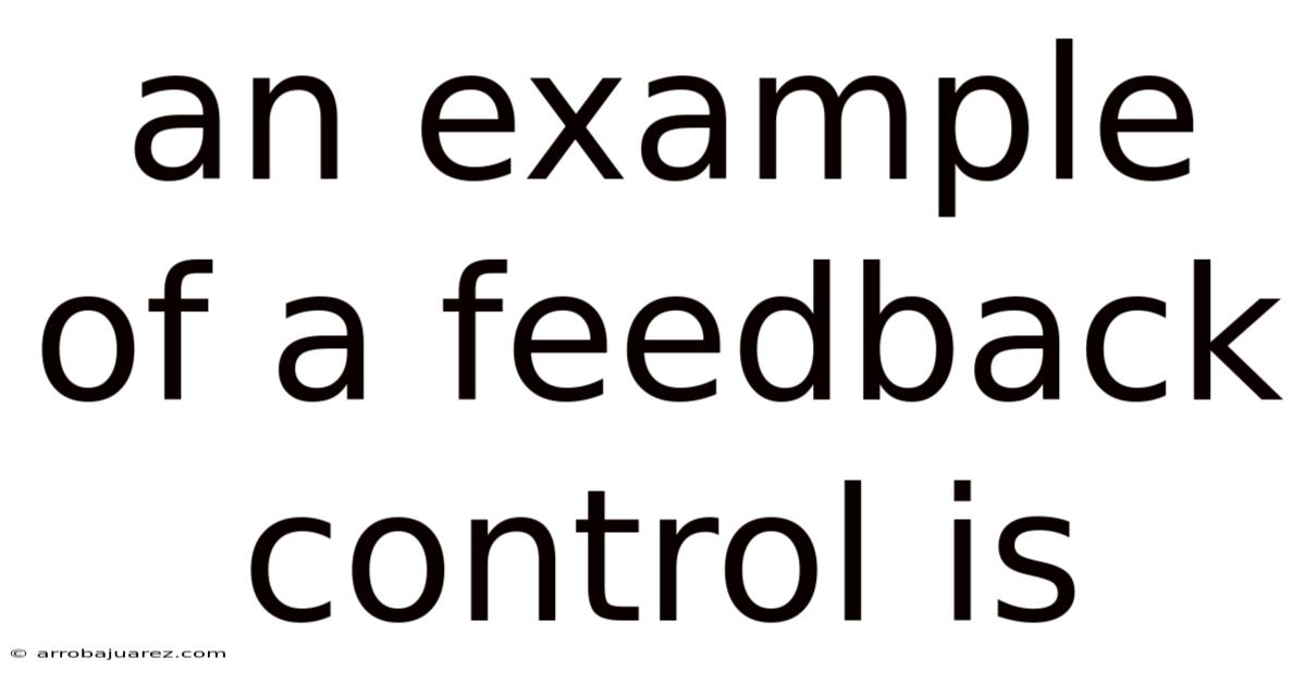 An Example Of A Feedback Control Is