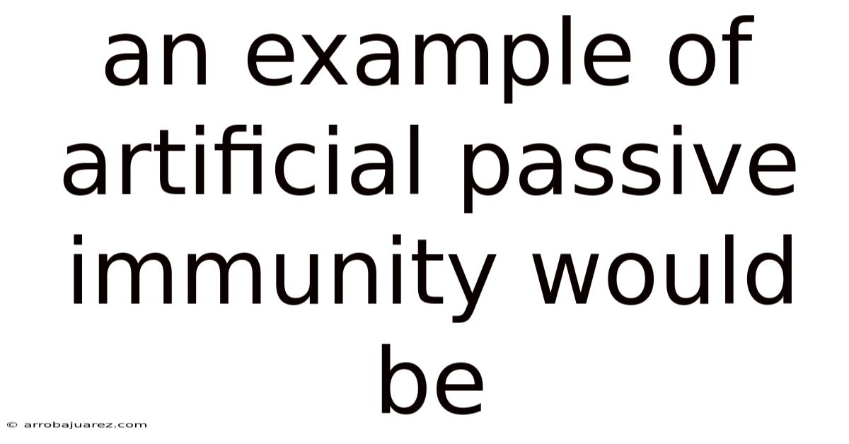 An Example Of Artificial Passive Immunity Would Be