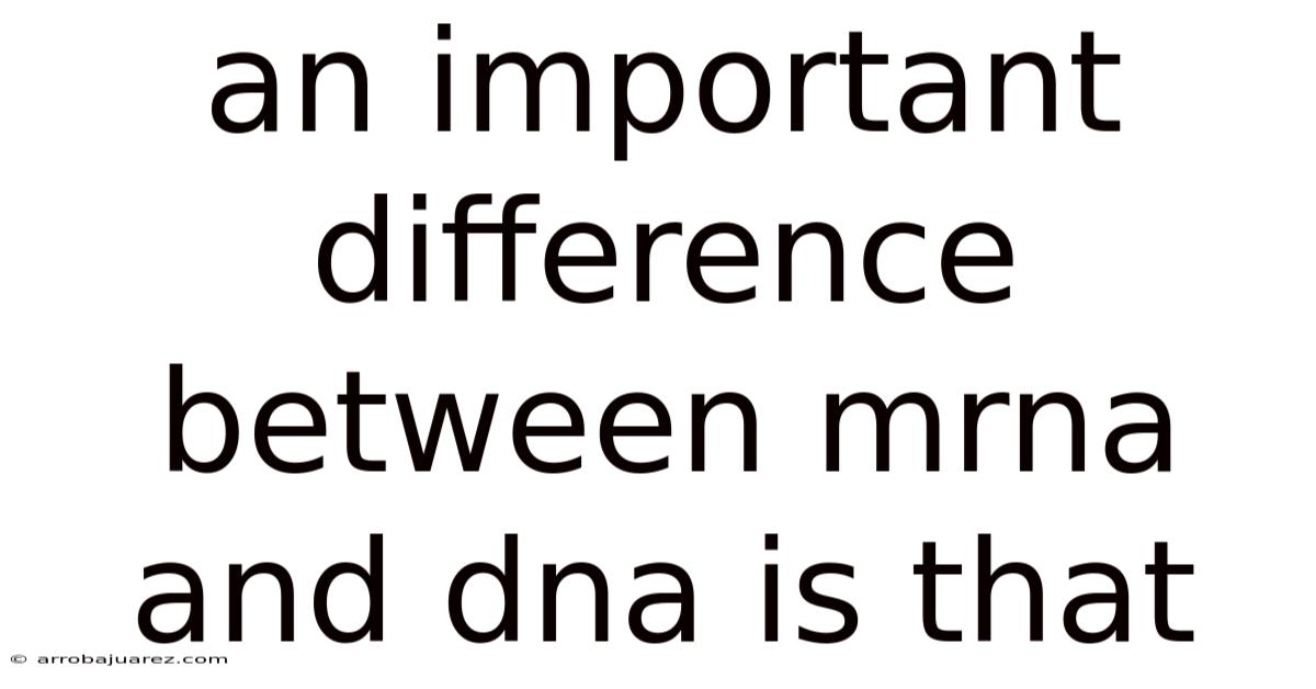 An Important Difference Between Mrna And Dna Is That