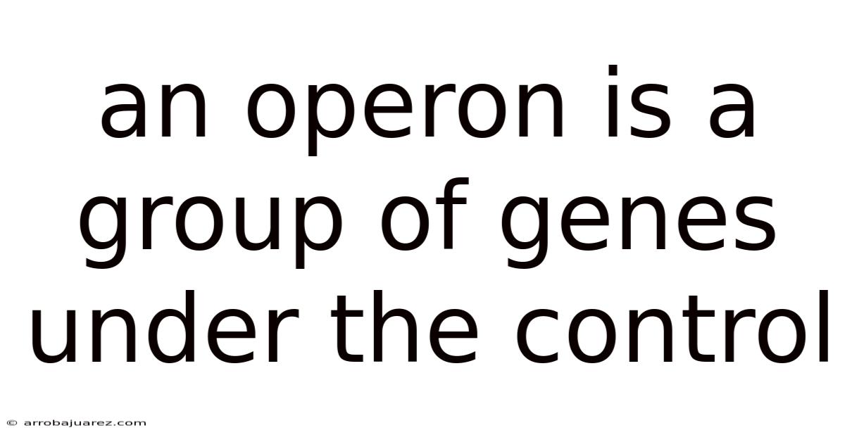 An Operon Is A Group Of Genes Under The Control