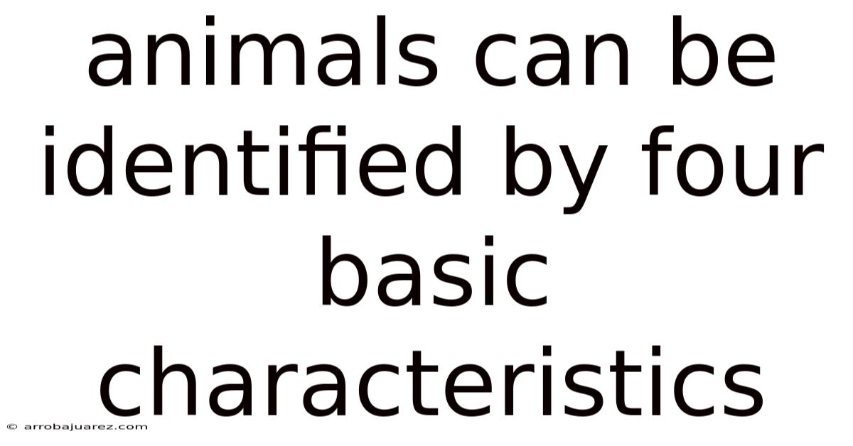 Animals Can Be Identified By Four Basic Characteristics