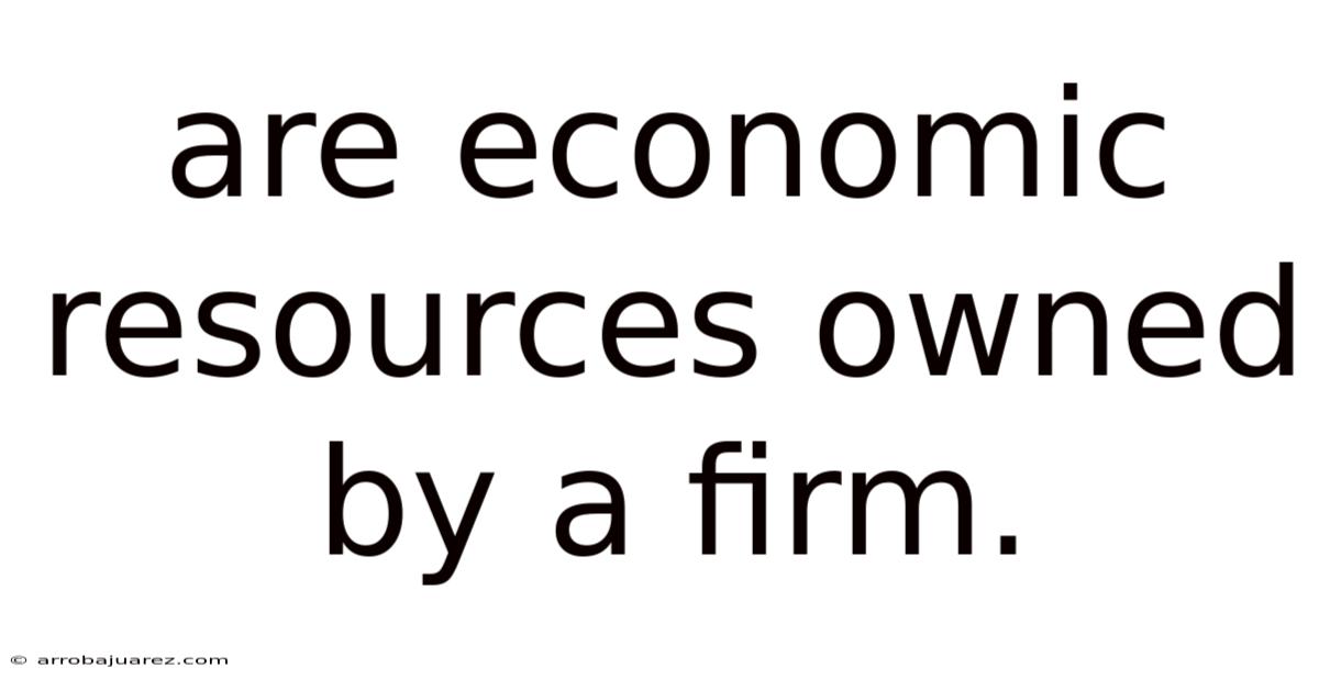 Are Economic Resources Owned By A Firm.