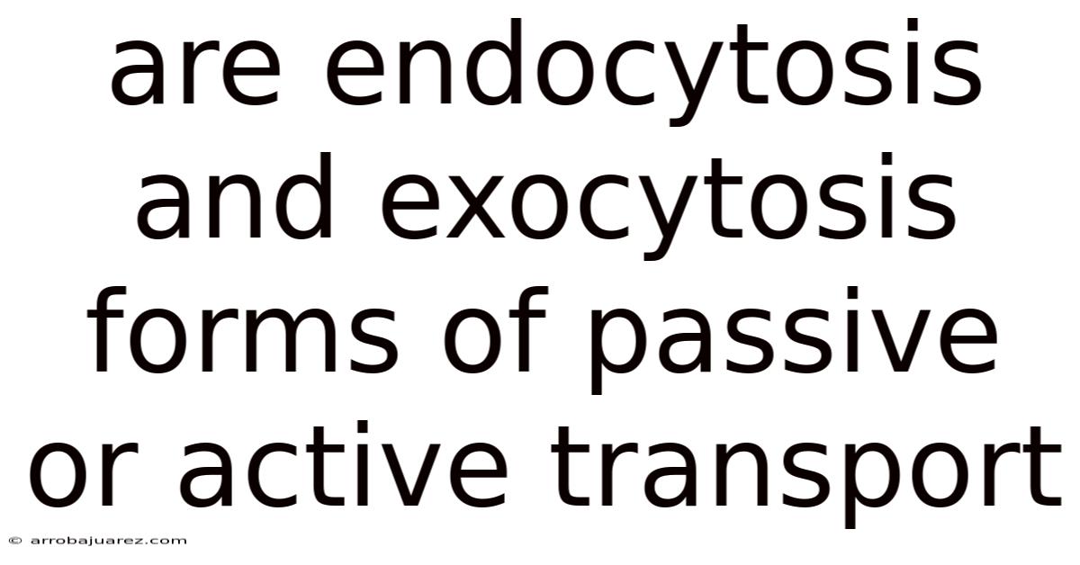 Are Endocytosis And Exocytosis Forms Of Passive Or Active Transport
