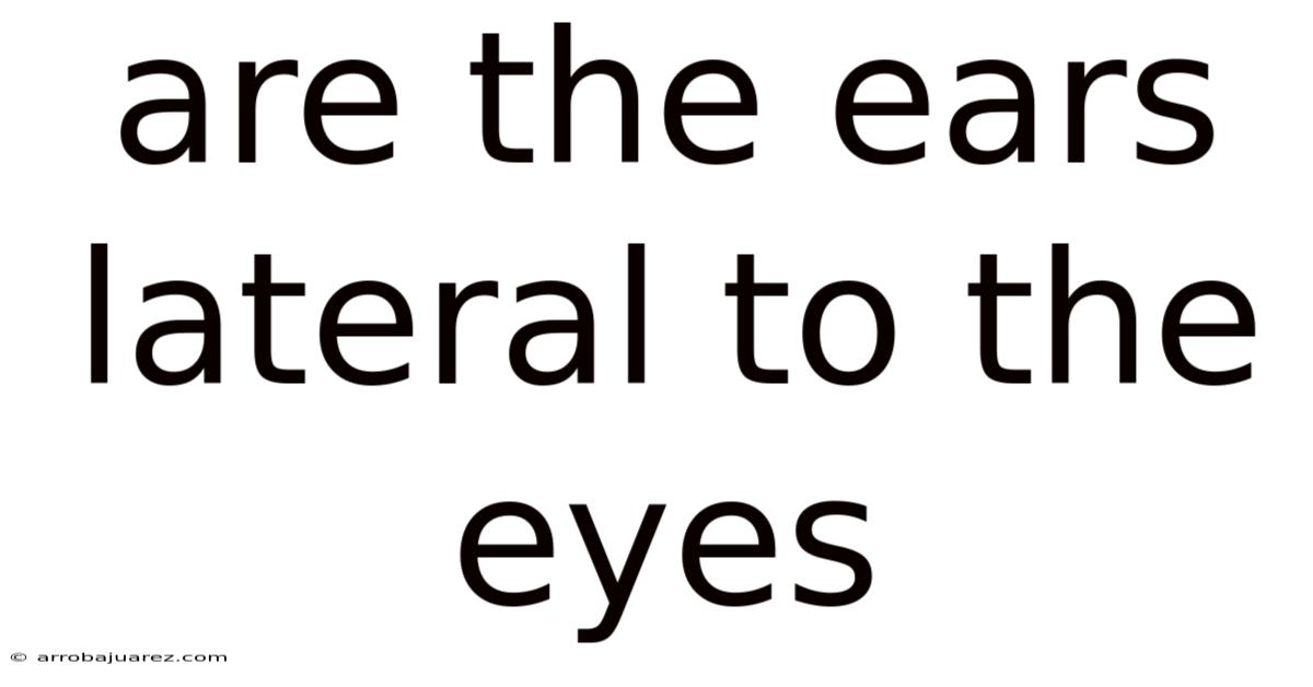 Are The Ears Lateral To The Eyes