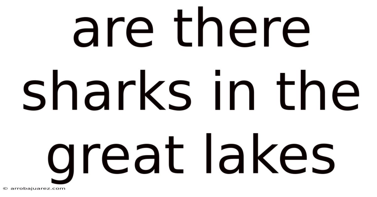 Are There Sharks In The Great Lakes