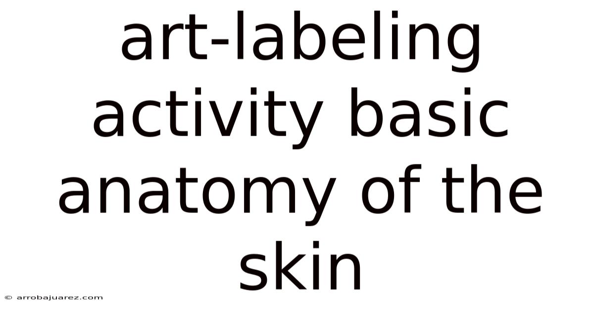 Art-labeling Activity Basic Anatomy Of The Skin