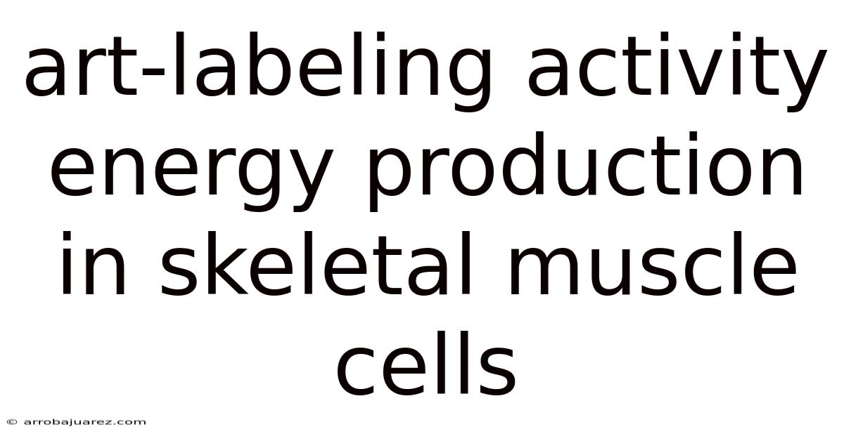 Art-labeling Activity Energy Production In Skeletal Muscle Cells