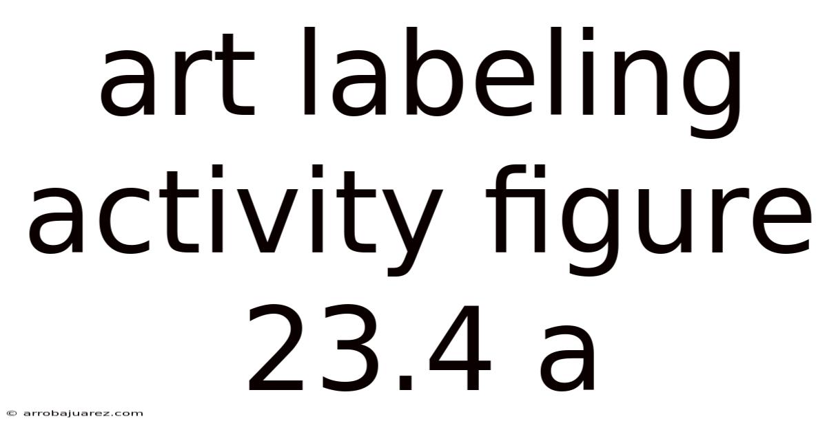 Art Labeling Activity Figure 23.4 A