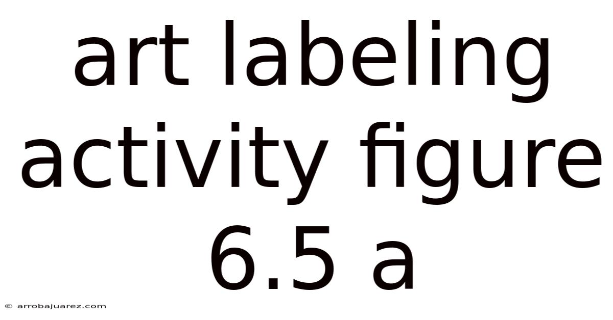 Art Labeling Activity Figure 6.5 A