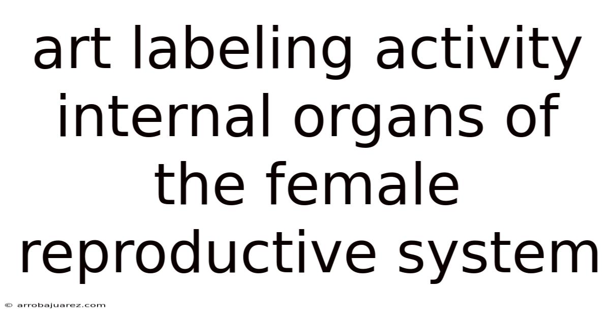 Art Labeling Activity Internal Organs Of The Female Reproductive System