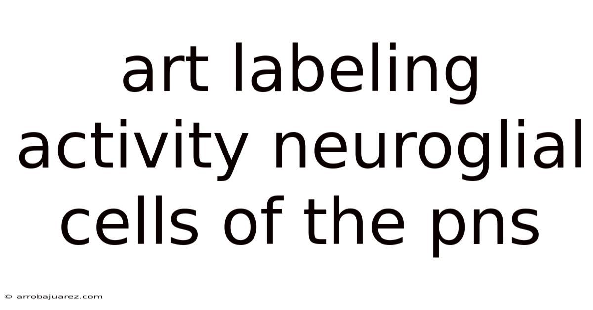 Art Labeling Activity Neuroglial Cells Of The Pns