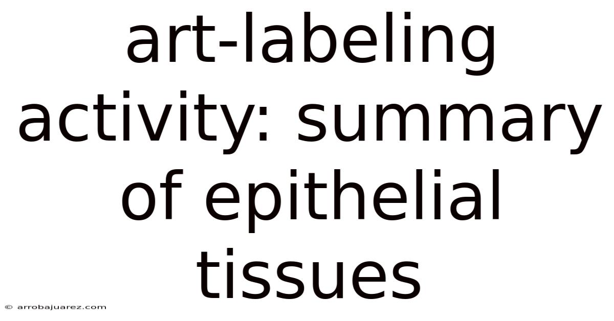 Art-labeling Activity: Summary Of Epithelial Tissues
