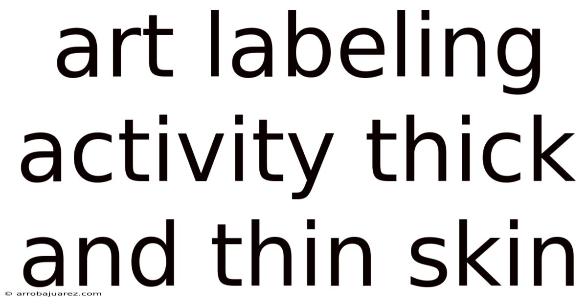 Art Labeling Activity Thick And Thin Skin