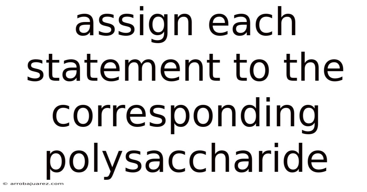 Assign Each Statement To The Corresponding Polysaccharide