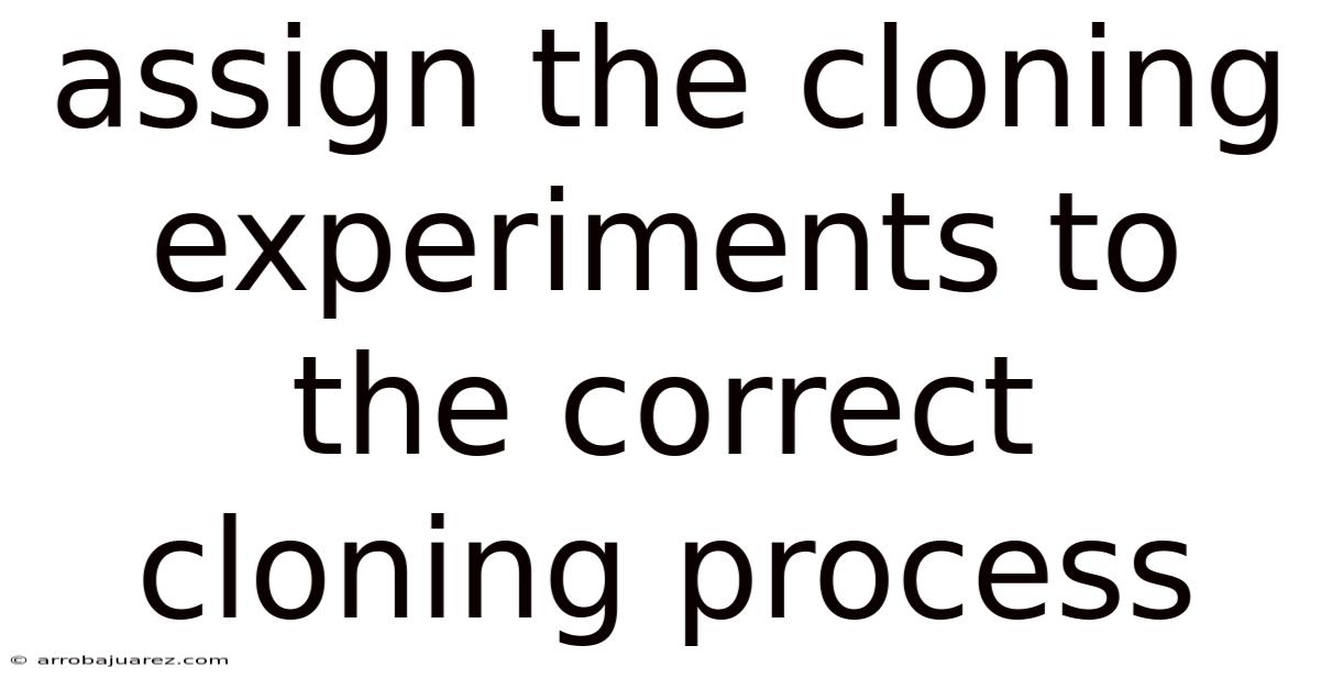 Assign The Cloning Experiments To The Correct Cloning Process