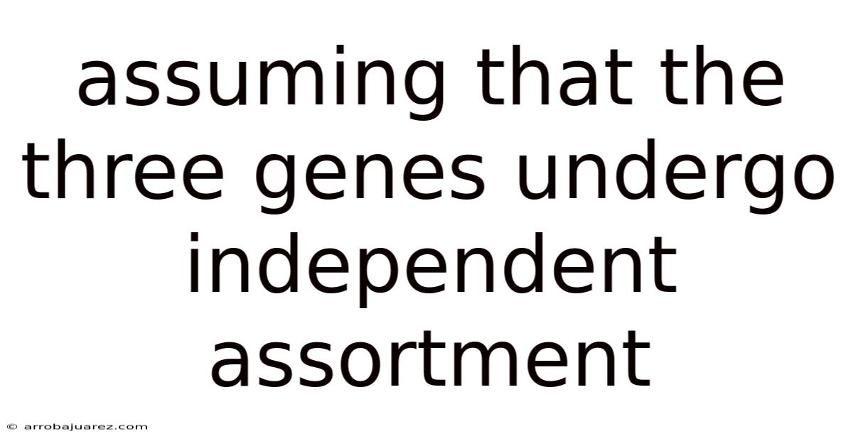 Assuming That The Three Genes Undergo Independent Assortment